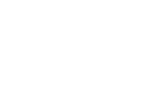ROVR Score